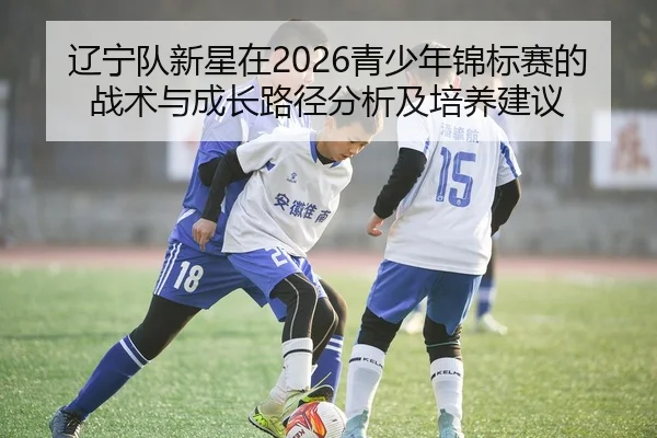 辽宁队新星在2026青少年锦标赛的战术与成长路径分析及培养建议